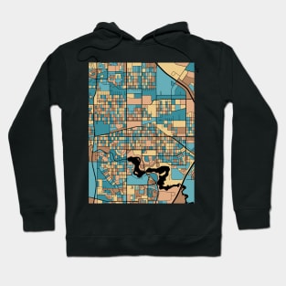 Regina Map Pattern in Mid Century Pastel Hoodie